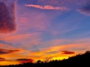Maldives Island on Reels