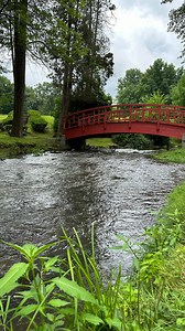 2K views · 245 reactions | Breathe. Join me on a walk through Forest Park. #calm #asmr #stream #bridge #lillypads #lotus #zen | The Chicken Chick | Facebook