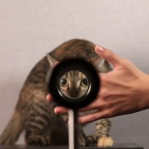 548K views · 2.2K shares | This is a real life invisibility cloak  Credit: University of Rochester | VT | Facebook