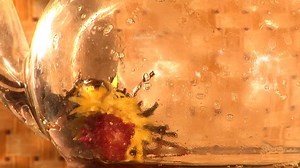 Infusion Chinese Herbal Red Tea 库存影片视频（100% 免版税）663892 | Shutterstock