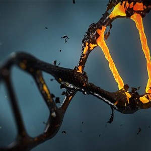 Interesting Facts About the Human Genome | Hashem Al-Ghaili