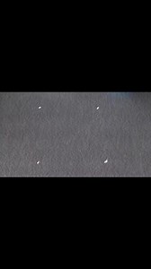 #kolamdesigns #mugguludesigns #rangoli #muggulu #flowerkolam #dailyrangolidesigns #rangolidesigns #kolamdesigns #simplerangoli #easyrangoli #smallrangoli #kolamwithdots #dailyrangolidesigns #padikolam | Rangoli kolam | Facebook