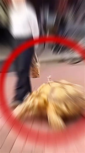 Rare Photos That Actually Surprise You! 🤯 | OK Boomer