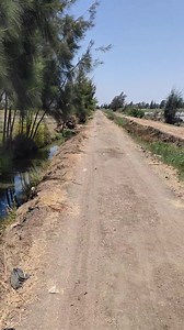 5.3K views · 61 reactions | فرررررررصه ممتازه 14.5. قيراط. ملك...