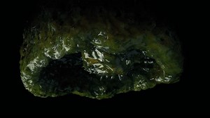 Slimy Alien Moves Large Egg Sack: vídeo stock (100% livre de direitos) 3520853047 | Shutterstock