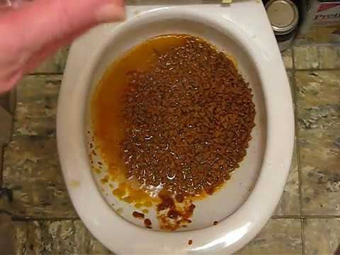 Flushing Rotten and Expired