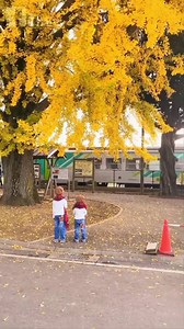 1K views · 118 reactions | Tàu ở nông thôn thật đẹp ❤ | YABAI | Facebook