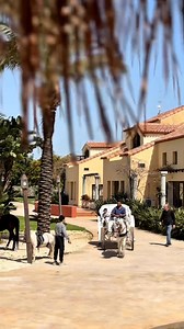 A day well spent at Batroun Village Club — nature, laughter, and memories in every corner. #batrounvillageclub #batroun #lebanon #booknow #village #hotel #bvc #livelovelebanon | Batroun Village Club