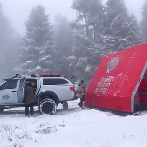 Building A Small Log Cabin Alone In The Woods | The Quiet Embrace