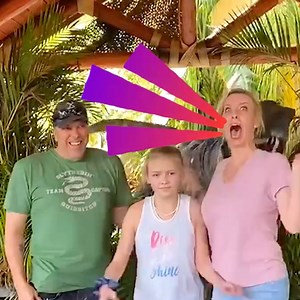 Even on vacation you can't escape the fail! 😂 | AFV Classics