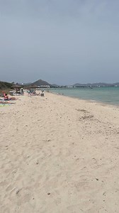 2.1K views · 42 reactions | When was your last time on the beach? ☀️ #mallorca #majorca #alcudia #muro | Mallorca | Facebook