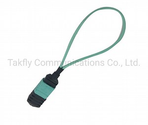 [Hot Item] 12fiber Multimode Optial Fiber MPO Loopback
