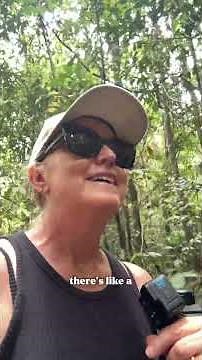 Full vlog linked below 👇 Finch Hatton Gorge #caravanningaustralia #exploringaustralia #finchhatton