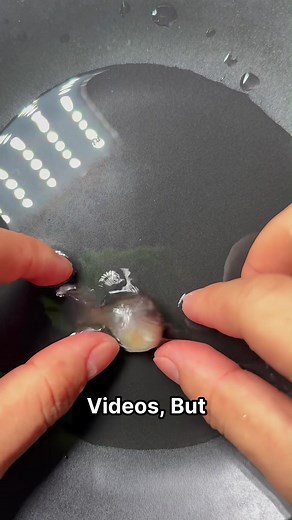 When to Strip Fish Eggs for Breeding: A Visual Guide