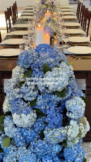 getting married in a sea of blue hydrangeas 🌊 #wedding #weddingday #weddingvideo