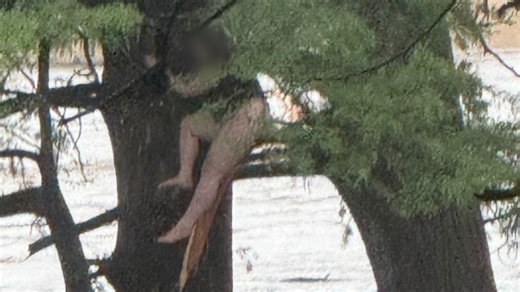 Woman hanging from tree in Texas floods rescued as storm kills at least 27