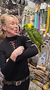 Paradise Parrot Rescue on Reels