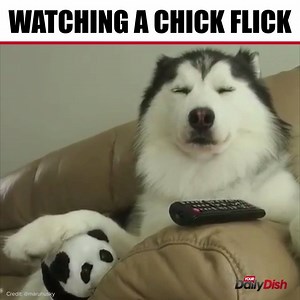 5.9K views · 246 reactions | When the bae just can't handle it #sleep | Your Daily Dish | Facebook