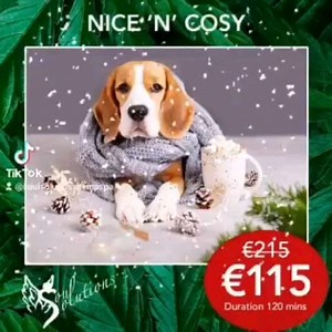 NICE ‘N’ COSY is one our hottest signature CBD SPA Packages that helps to reduce all types of pain including chronic pain, improves brain function, immune system, sleep and is the best miracle cure for relieving anxiety and depression. Discover the benefits of a full-body exfoliation with our CBD and DoTerra Tumeric & Lavender Sugar Body Scrub & Mask, a warm Tumeric and Lavender essential oil infused with our plant-based CBD oil for a relaxing full body & healing scalp massage and to finish off 