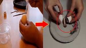 Man Injects Human Sperm to Chicken Egg, Result Gain Various Reactions