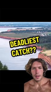 #greenscreenvideo #moon #gravity #tides #water | gravity