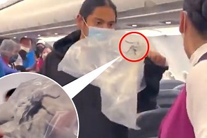 Passengers left terrified after finding huge TARANTULA on their flight