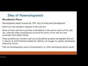 MLS 321: Haematopoiesis- Introduction