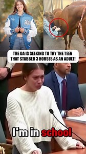 Teen Charged for Stabbing Horses: DA Seeks Adult Trial