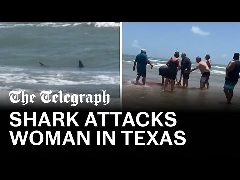 Shark attacks woman on Texas beach