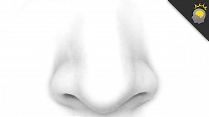 What Your Nose Can Tell You | Howstuffworks