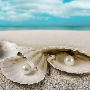[Hot Item] Summer Style Sea Conch and Shell Canvas Painting Wall Arts for Decor
