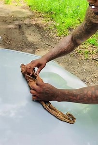 This might be the biggest blunt ever in American history | Tap In With T.Vickz & Mrs.Dean