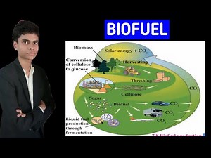 What is meant by biofuels ? Process of formation of biofuels | Everything explained |