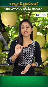 Power of Passion Fruit 🐘💪🏼😀#reels #trendingreels #passionfruit #passionfruitfarming | Boss Wallah Farming Telugu
