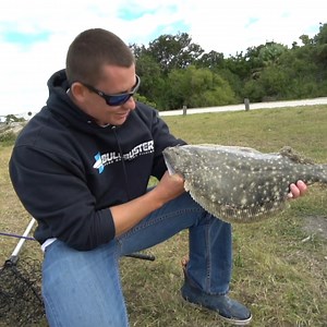 22K views · 569 reactions | Giant flounder from shore! | Landshark Outdoors | Facebook