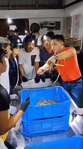 " ONSITE TRAINING / SEMINAR " IN TAGAYTAY-ALFONSO, CAVITE TRAINING CENTER ( JULY 19, 2025 ) " VERTICAL FARMING / FATTENING OF MUD CRAB USING 'RECIRCULATING AQUACULTURE SYSTEM' (R.A.S.) TECHNOLOGY " #ToGodBeTheGlory 😇🙏 location: TAGAYTAY-ALFONSO, CAVITE BRANCH --------------------------- ADDRESS: Highland's Crab Farm HIGHLAND'S CRAB #350 Luksuhin Ibaba. Alfonso ,Cavite ---------------------------- LOCATION MAP / VENUE https://maps.app.goo.gl/GPwgeh6DMq8Ce1L36 | Philippine Crab Aquaculture - RAS