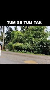 55K views · 1.5K reactions | Twist Before Meeting! Anu’s File Vanishes, Arya Brings Back Hope || Tum Se Tum Tak #Tumsetumtak #Reel #Serial #UpcomingTwist | sm serial twist | Facebook