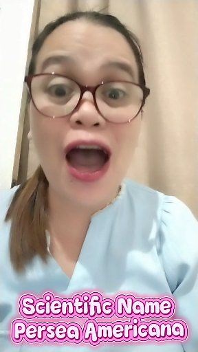 What is the Scientific Name of avocado? This is another a-may-zing information for you. #englishbisayatranslation #ScientificName #catherinelandarwong #hilightseveryonefollowers2025 #bisdakreels | Catherine Landar Wong