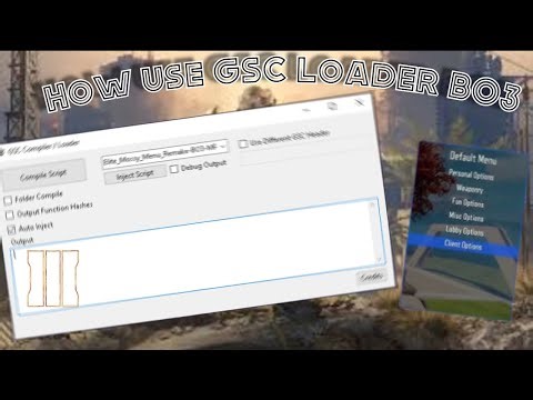 🎇 How Use GSC LOADER For BO3