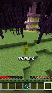 don't use ender perl in end minecraft #minecraft
