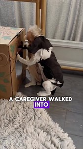 Shocking Discovery in Elderly Woman's Room