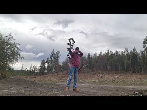 bowtech amplify - a little walk through from an amateur in my first year of shooting