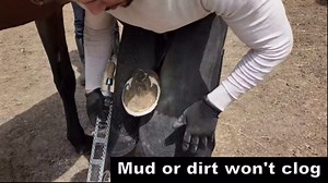 Cody James Dymondback REFILL ONLY - use with Dymondback Rasp Frame - Choose FINE, MEDIUM or AGGRESSIVE (MEDIUM)