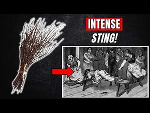 Birch Spanking – A PAINFUL Form of Corporal Punishment | Birching | Flogging