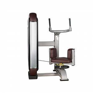 [Hot Item] Lmcc Wholesale Price High Quality Torso Rotation Machine for Gym Commercial Workout Equipment