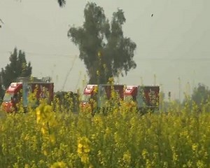 *** Temperature Controlled Logistics *** | TCS