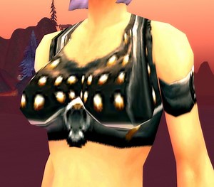 Pattern: Heavy Scorpid Vest