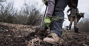 Annual Impact Report