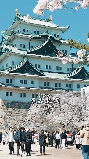 名古屋で見る春の桜の美しさ