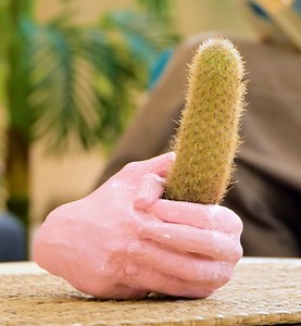 27K views · 57 reactions | the coolest cement plant holder  | Wood Mood | Facebook